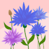 hermicubillos